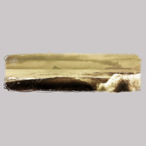 WHITEISLAND WAVES - Womens Premium Hood Design