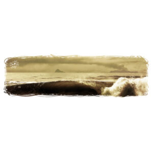 WHITEISLAND WAVES - Womens Dice Longsleeve Tee Design